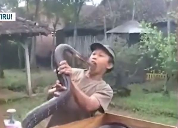 Ảnh cắt từ clip.