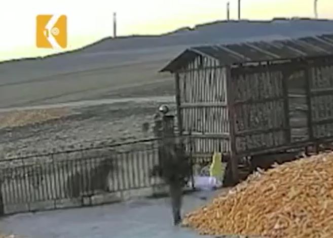 Ảnh cắt từ clip.