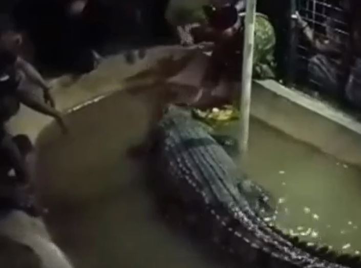 Ảnh cắt từ clip.