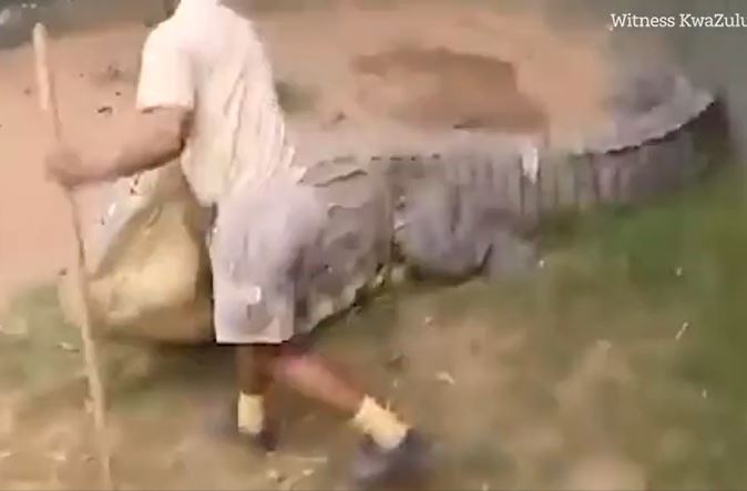 Ảnh cắt từ clip.