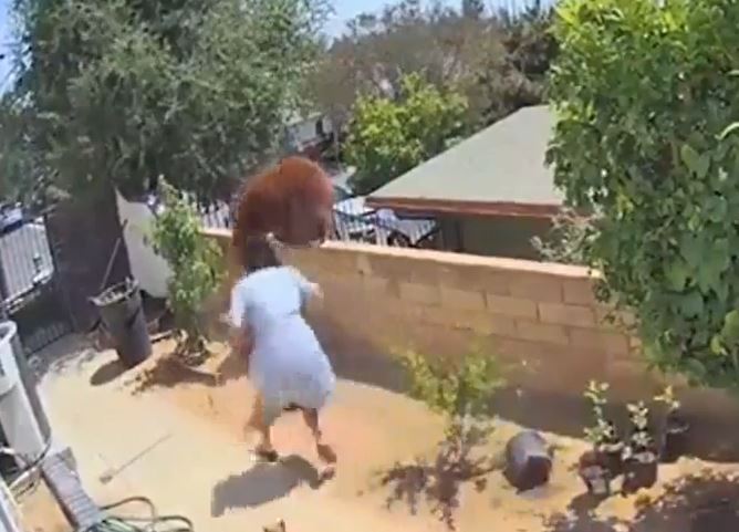 Ảnh căt từ clip.