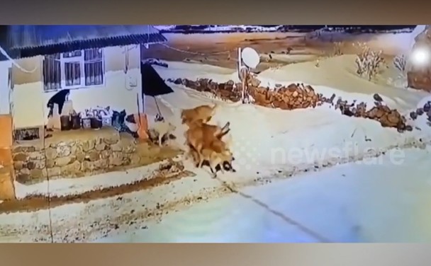 Ảnh cắt từ clip.