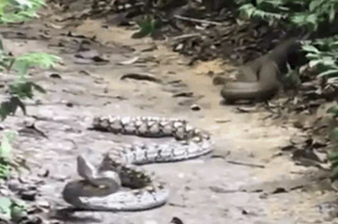 Ảnh cắt từ clip.