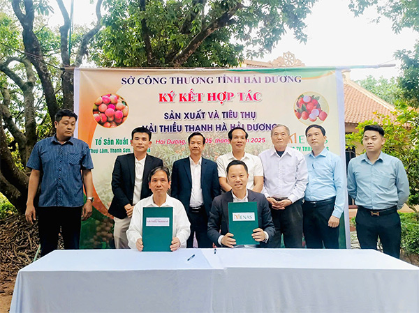 Ông Nguyễn Đức Quỳnh và ông Phạm Văn Thạch ký kết hợp tác.