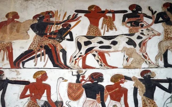 Một bức phù điêu thạch cao mô tả một cuộc thám hiểm quân sự do Ramesses II khởi xướng cách đây khoảng 3.300 năm. Một người phụ nữ Nubian có thể được nhìn thấy với dây đeo đầu đang bế một đứa trẻ trong giỏ.