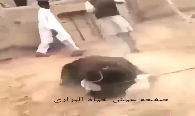 Ảnh cắt từ clip.