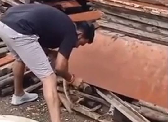 Ảnh cắt từ clip.