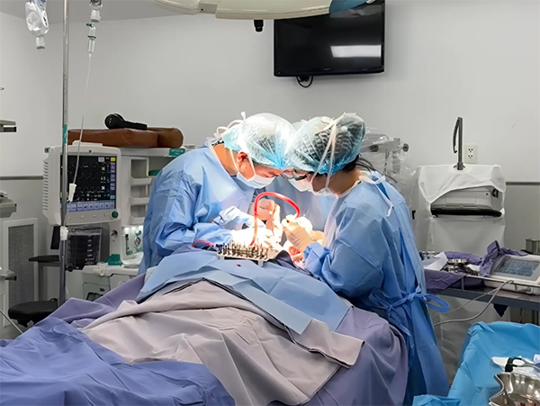 Ekip bác sĩ đang thực hiện cấy ghép implant toàn hàm cho cụ N