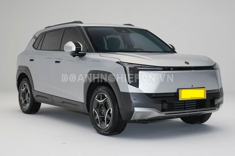 Dongfeng Nano 06 2025.