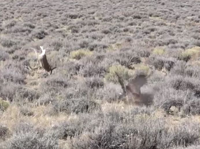 Ảnh cắt từ clip.