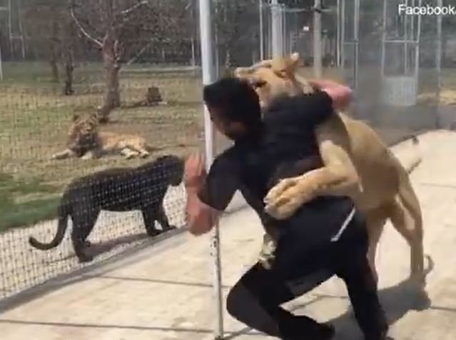 Ảnh cắt từ clip.