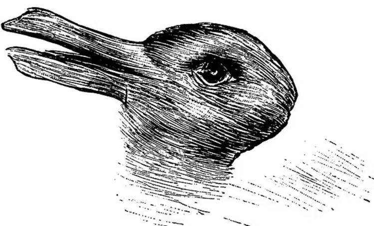 Bạn nhìn thấy thỏ hay vịt trước?