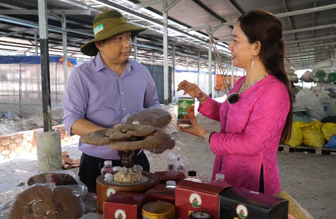 Mỗi tháng, cơ sở của bà xuất bán 2-3 tấn nấm các loại đến thị trường An Giang và TP Hồ Chí Minh.