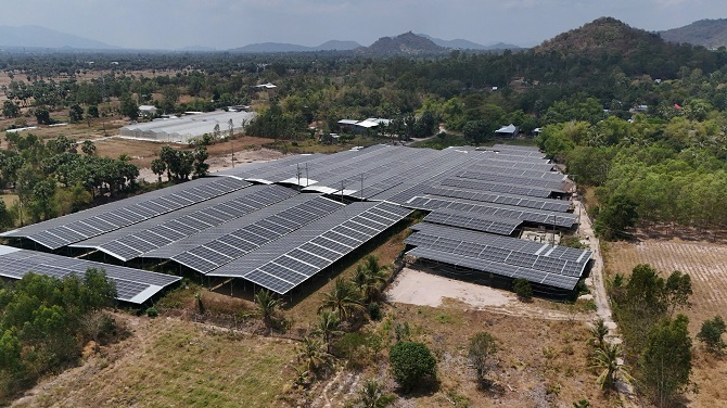 Pin mặt trời không chỉ cung cấp điện mà còn tạo bóng mát, giúp giảm nhiệt trong khu vực trồng nấm rất nhiều.