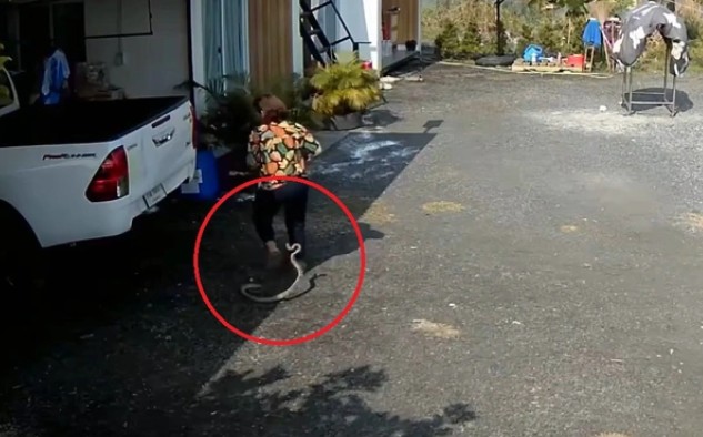 Ảnh cắt từ clip.