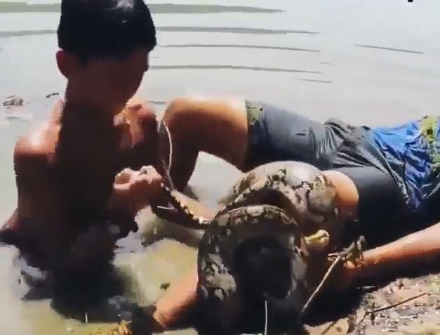 Ảnh cắt từ clip.