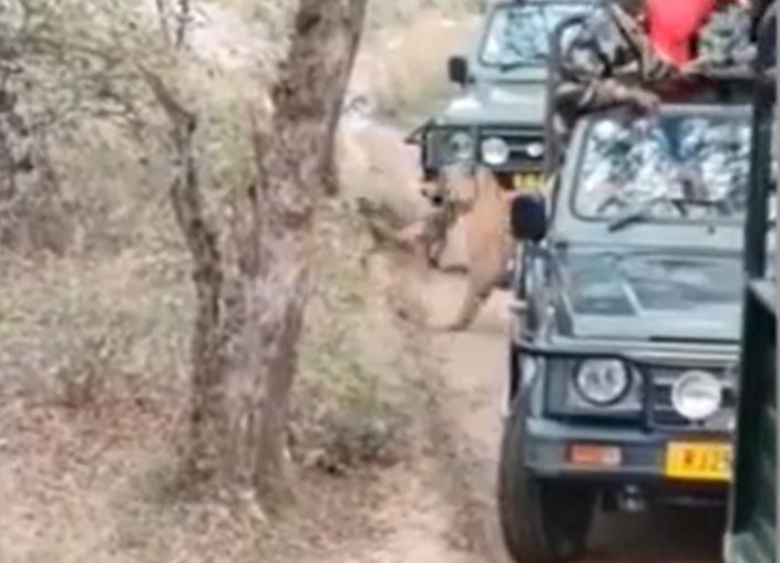 Ảnh cắt từ clip.