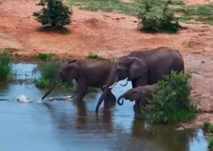 Ảnh cắt từ clip.