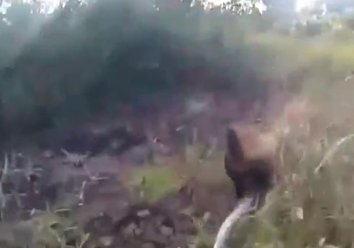 Ảnh cắt từ clip.