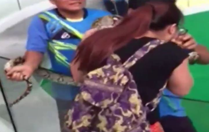 Ảnh cắt từ clip.