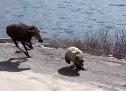 Ảnh cắt từ clip.