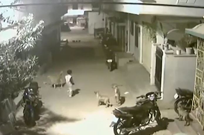 Ảnh cắt từ clip.