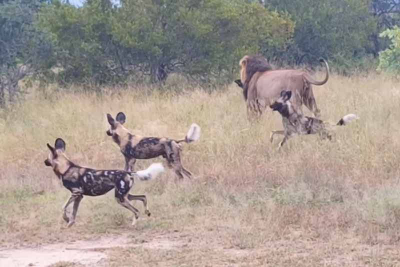 Ảnh cắt từ video.