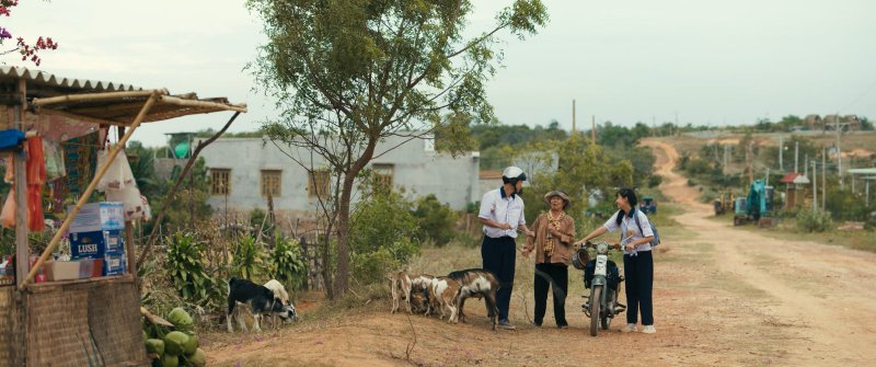 Hình ảnh trong trailer