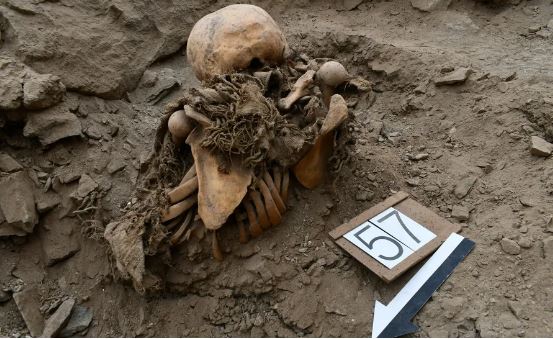 Hài cốt của người được chôn cất tại El Curaca ở Peru.