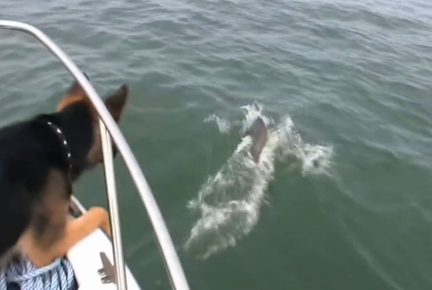 Ảnh cắt từ clip.