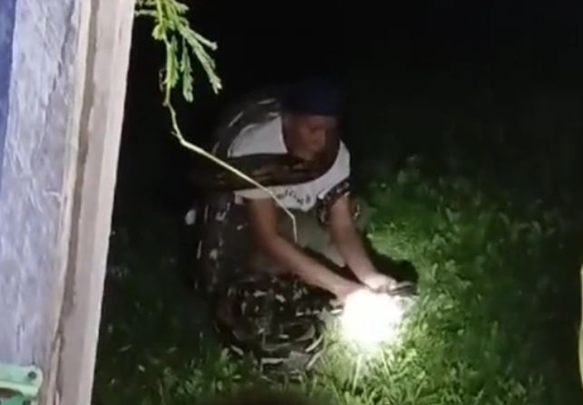 Ảnh cắt từ clip.