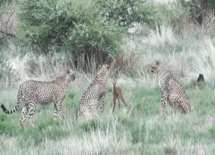 Ảnh cắt từ clip.