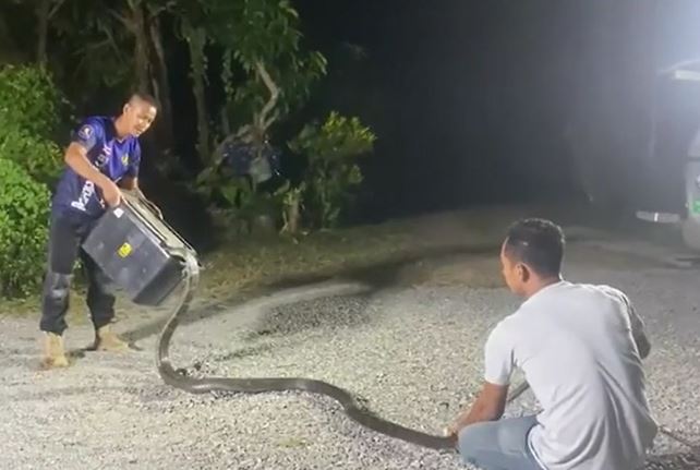 Ảnh cắt từ clip.