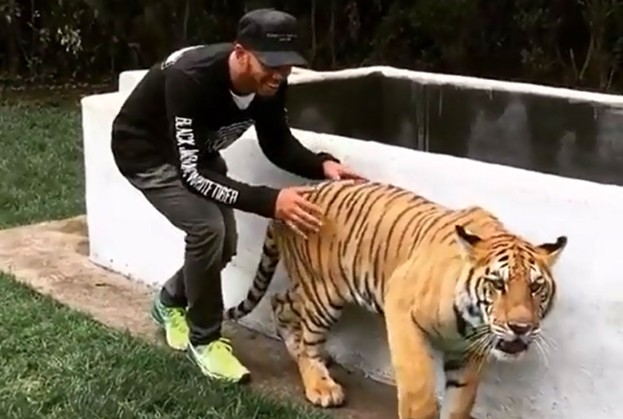 Ảnh cắt từ clip.