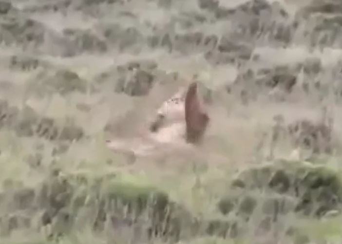 Ảnh cắt từ clip.