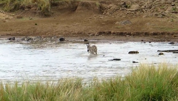 Ảnh cắt từ clip.