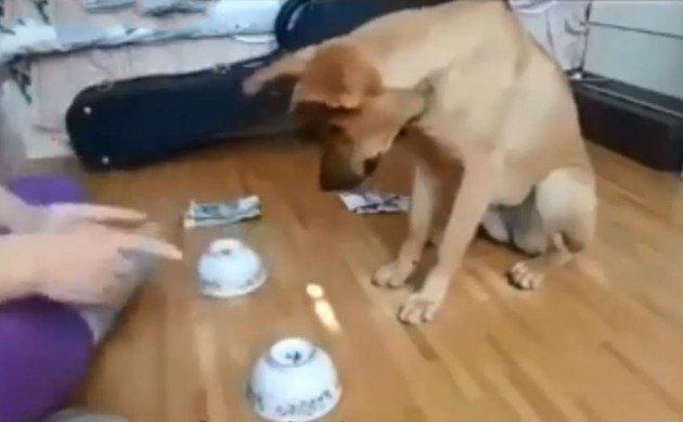 Ảnh cắt từ clip.