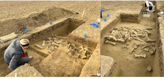 "Nghĩa địa quái vật" được khai quật tại Áo - Ảnh: ÖAW