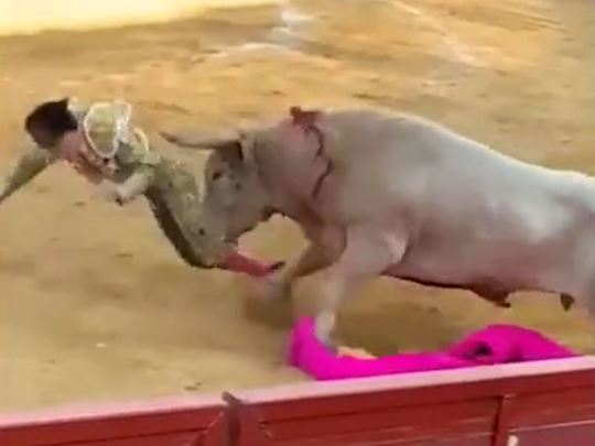 Ảnh cắt từ clip.