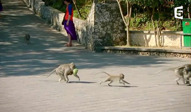 Ảnh cắt từ clip.