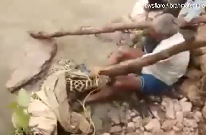 Ảnh cắt từ clip.