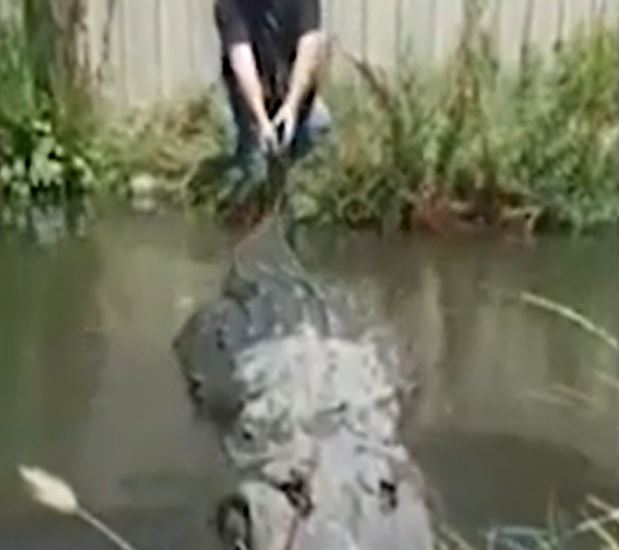 Ảnh cắt từ clip.