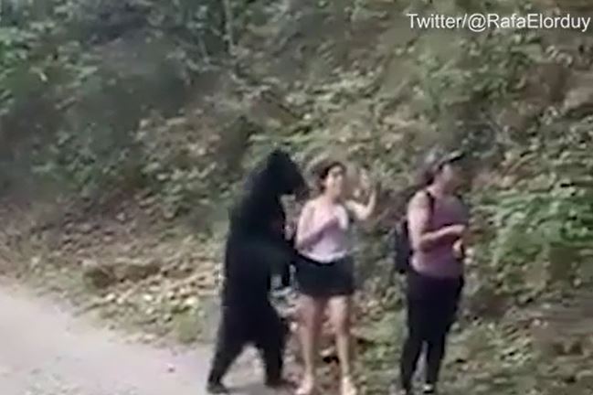 Ảnh cắt từ clip.