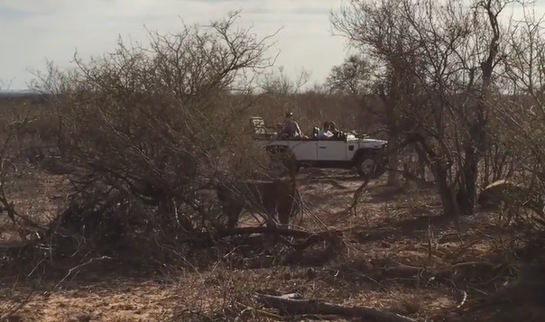 Ảnh cắt từ clip.