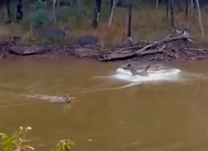 Ảnh cắt từ clip.