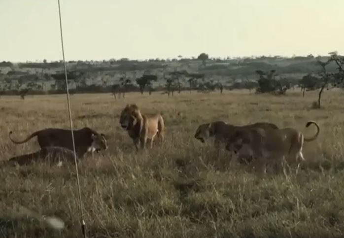 Ảnh cắt từ clip.