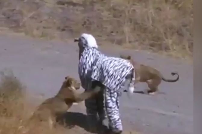 Ảnh cắt từ clip.