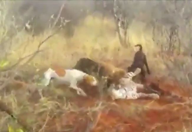 Ảnh cắt từ clip.