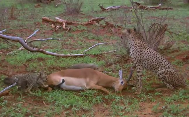 Ảnh cắt từ clip