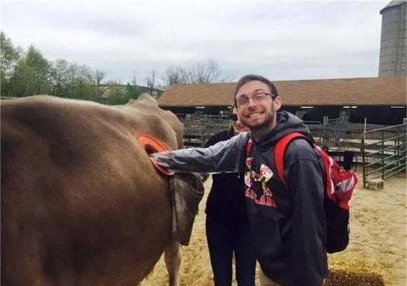 bò mỹ, chuyện lạ